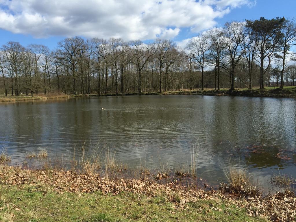 'T Vosseven Vakantiepark Stramproy 外观 照片